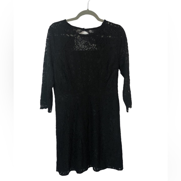 Loft Women’s Lace Dress Open Back Lined 3/4 Length Sleeves Stretchy Fit & Flare - Picture 1 of 8
